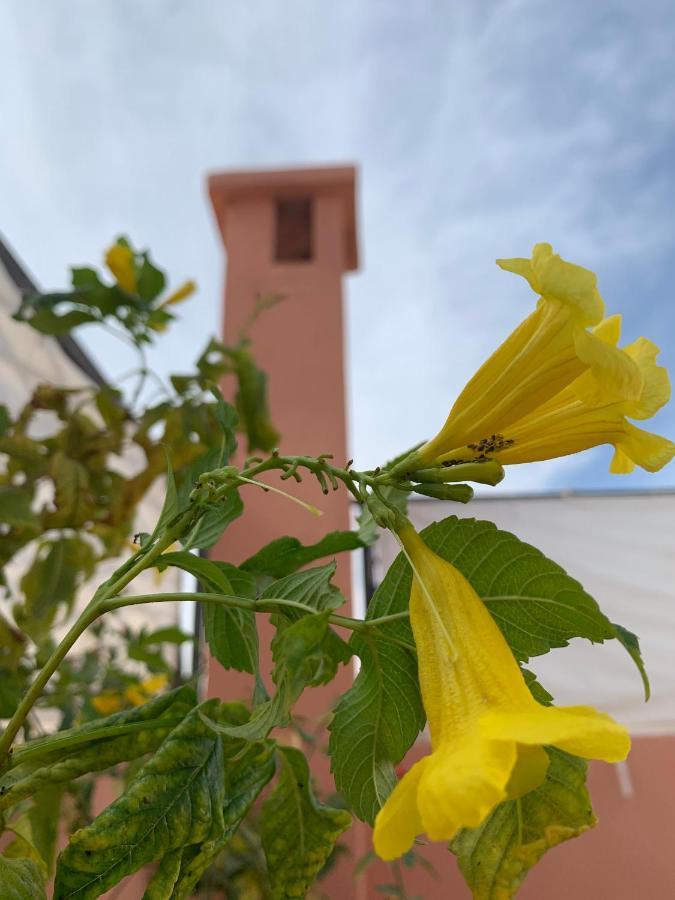 Riad Dar Mamouni Hotel Marrakesh Exterior foto